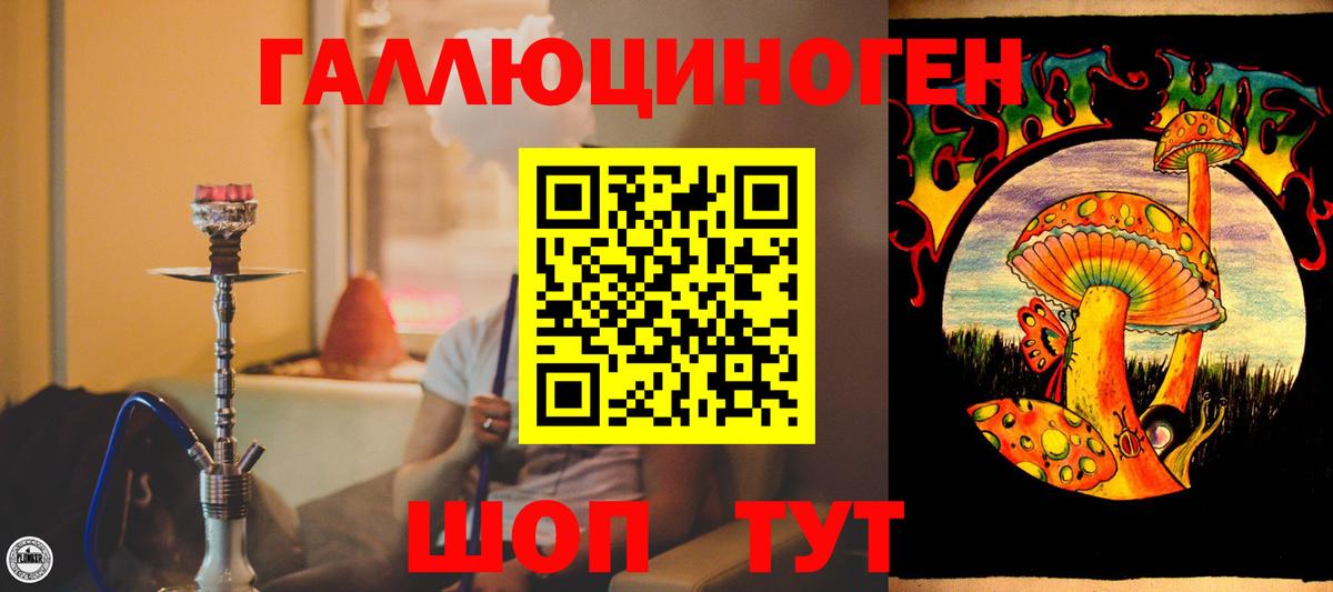 Галлюциногенные грибы прущие грибы Кириши